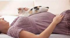 Proč těhotné ženy nemohou být kontaktovány s kočkami?